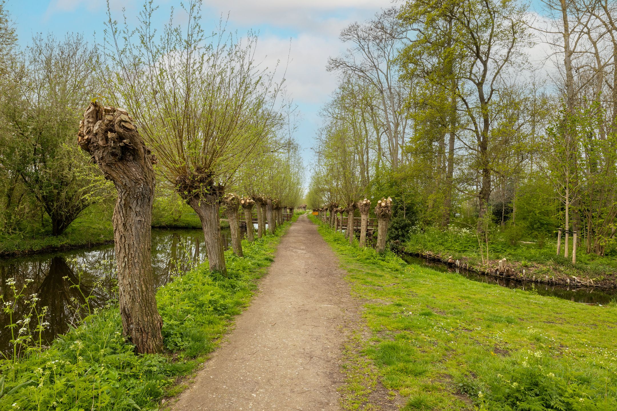 Foto 6 van Van der Ledestraat 8