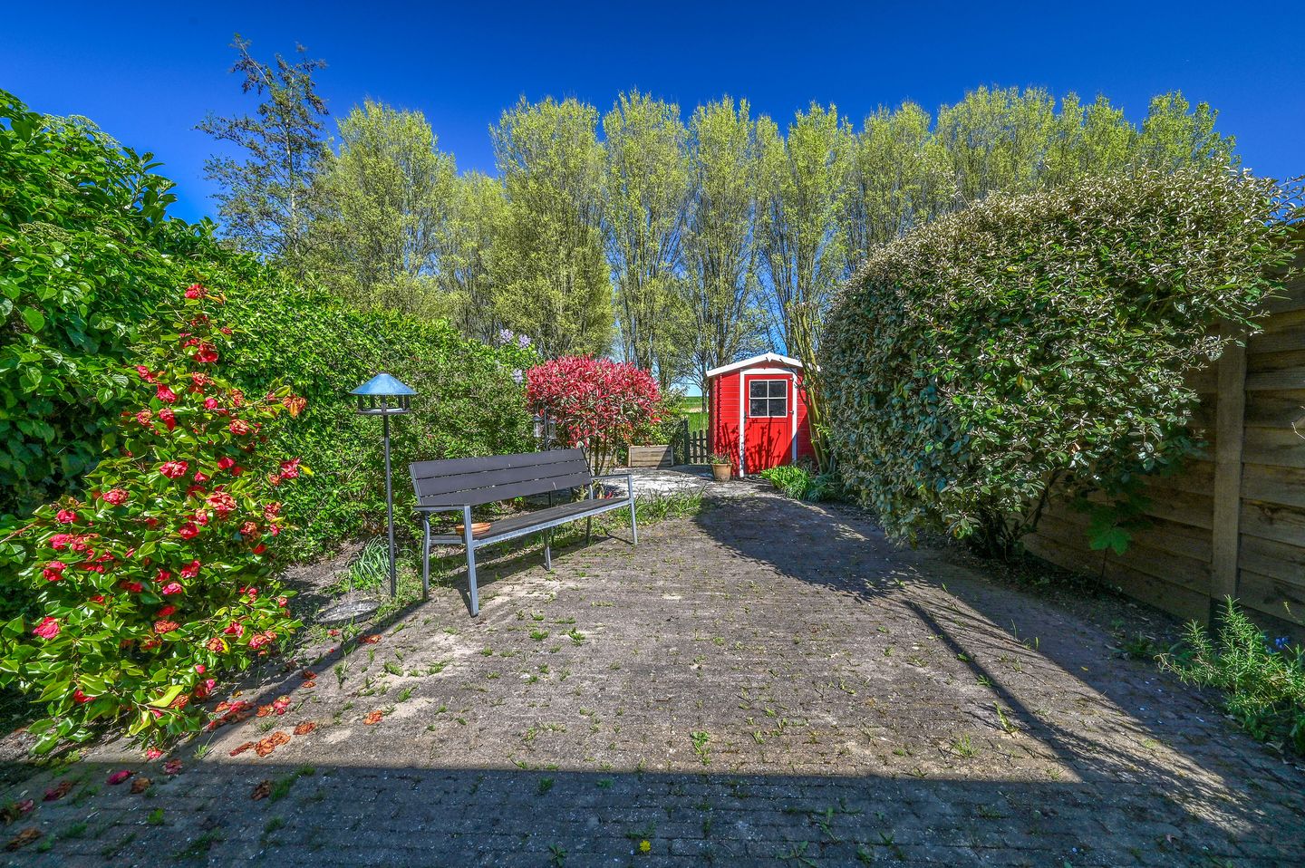 Photo 29 of Breezand 14