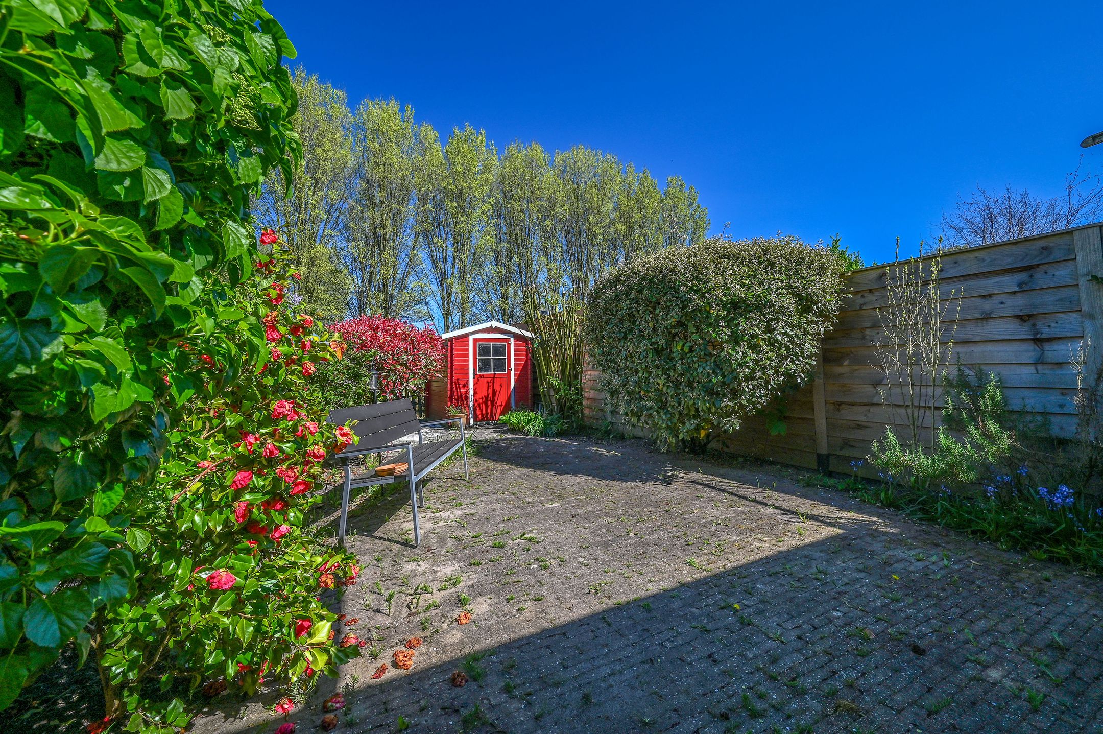 Photo 30 of Breezand 14