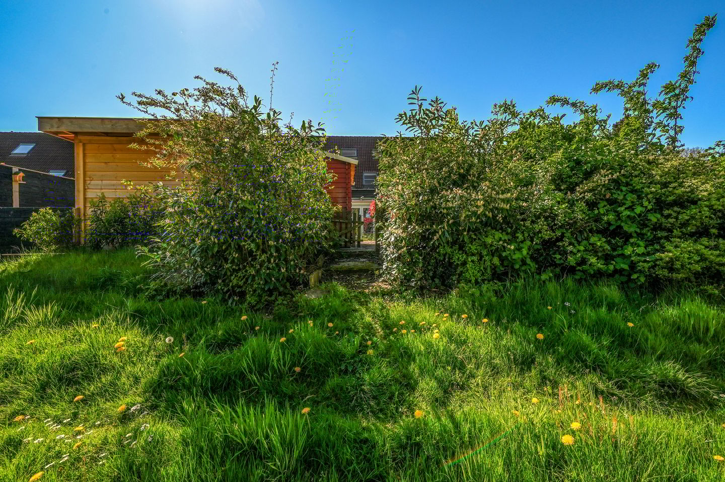 Photo 35 of Breezand 14