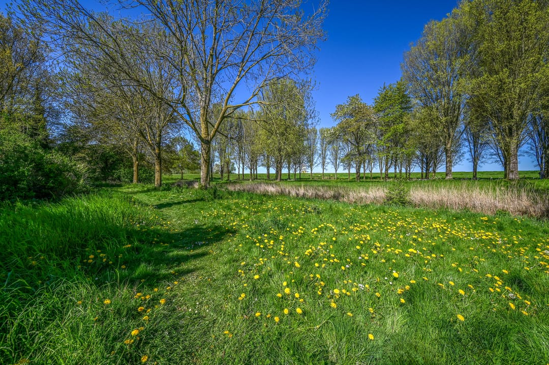 Photo 41 of Breezand 14