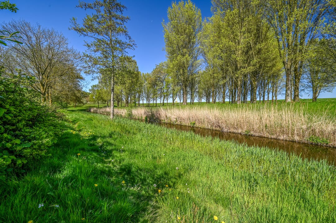 Photo 43 of Breezand 14