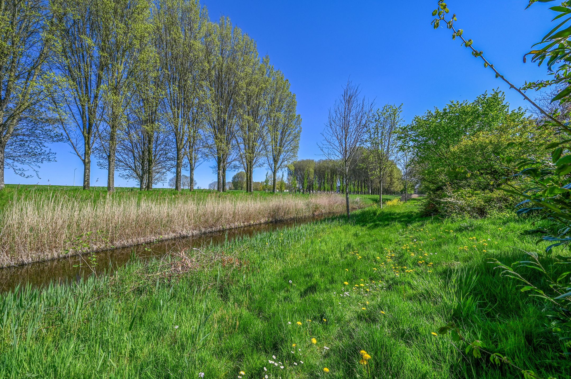 Photo 42 of Breezand 14