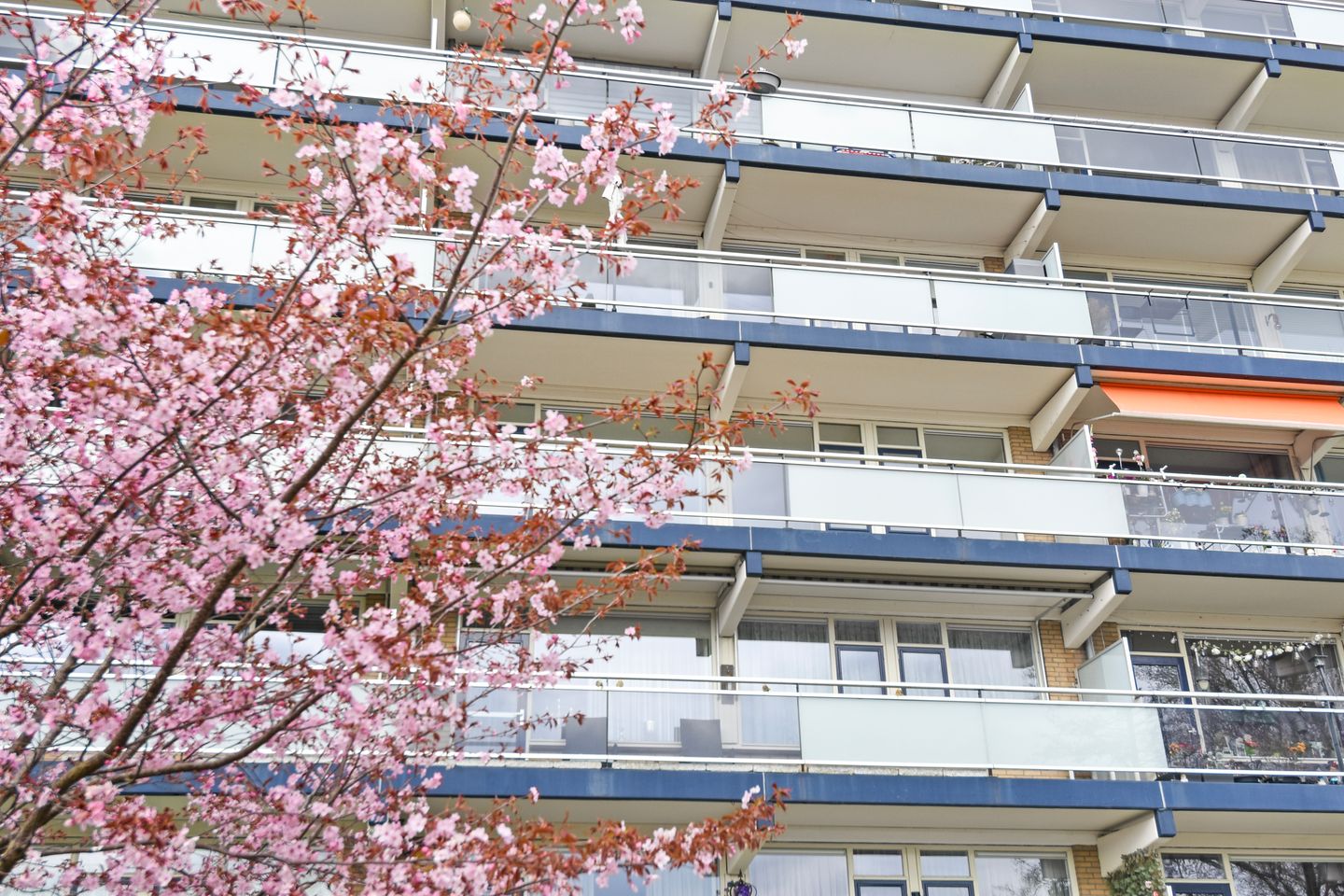 Foto 4 van Dunantstraat 190