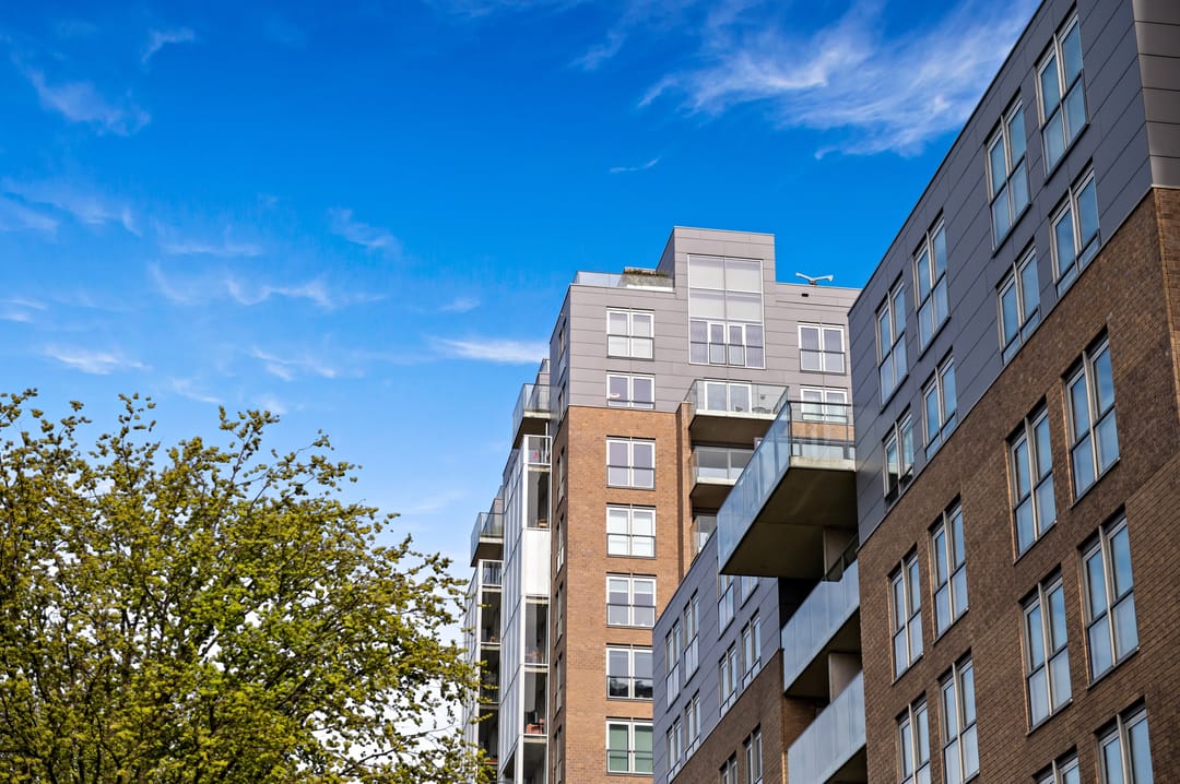 Foto 8 van Stadhoudersplantsoen 258