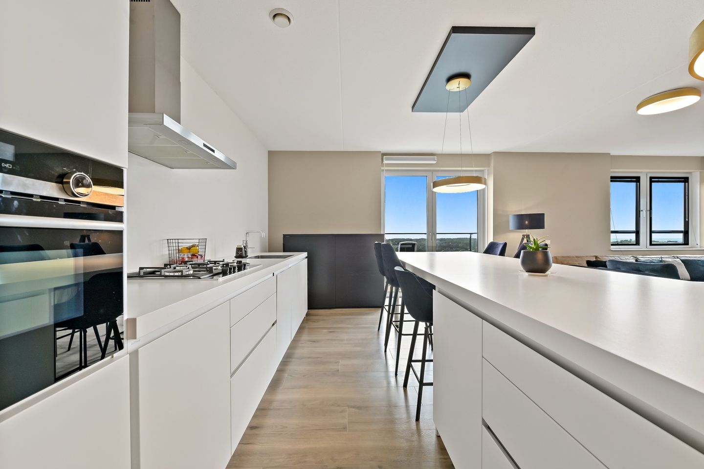 Foto 19 van Stadhoudersplantsoen 258