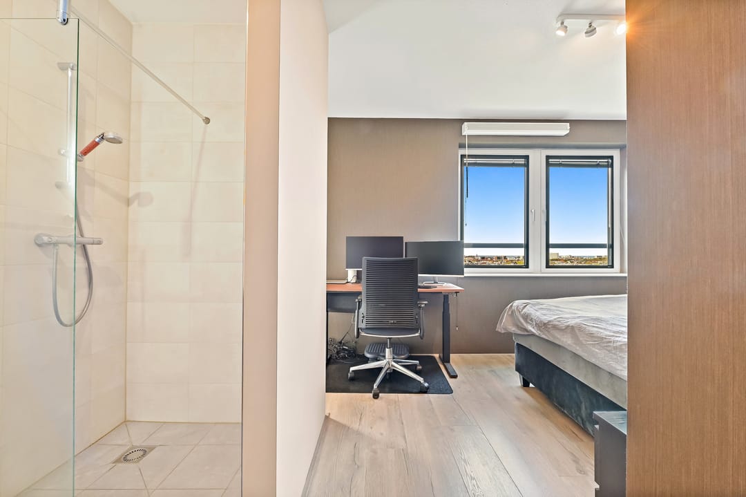 Foto 31 van Stadhoudersplantsoen 258