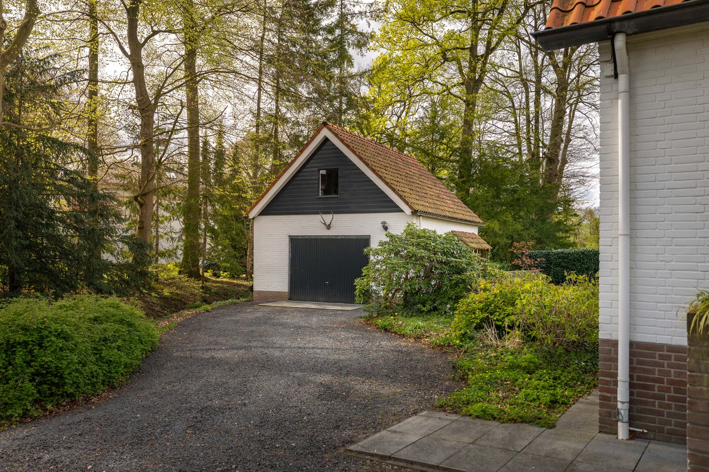 Foto 44 van Marinus Naefflaan 7