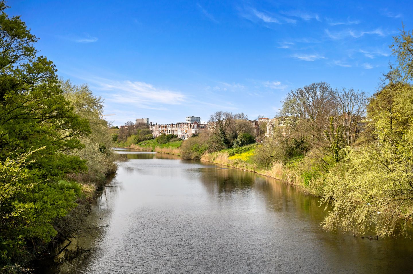 Foto 49 van Stadhoudersplantsoen 258