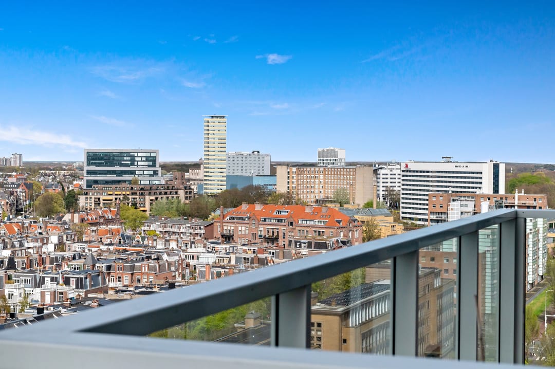 Foto 38 van Stadhoudersplantsoen 258