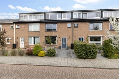 Albert Cuypstraat thumbnail