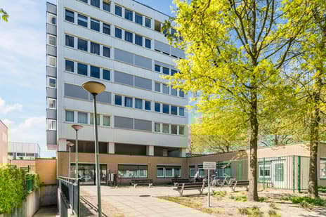 Burgemeester Verwielstraat thumbnail