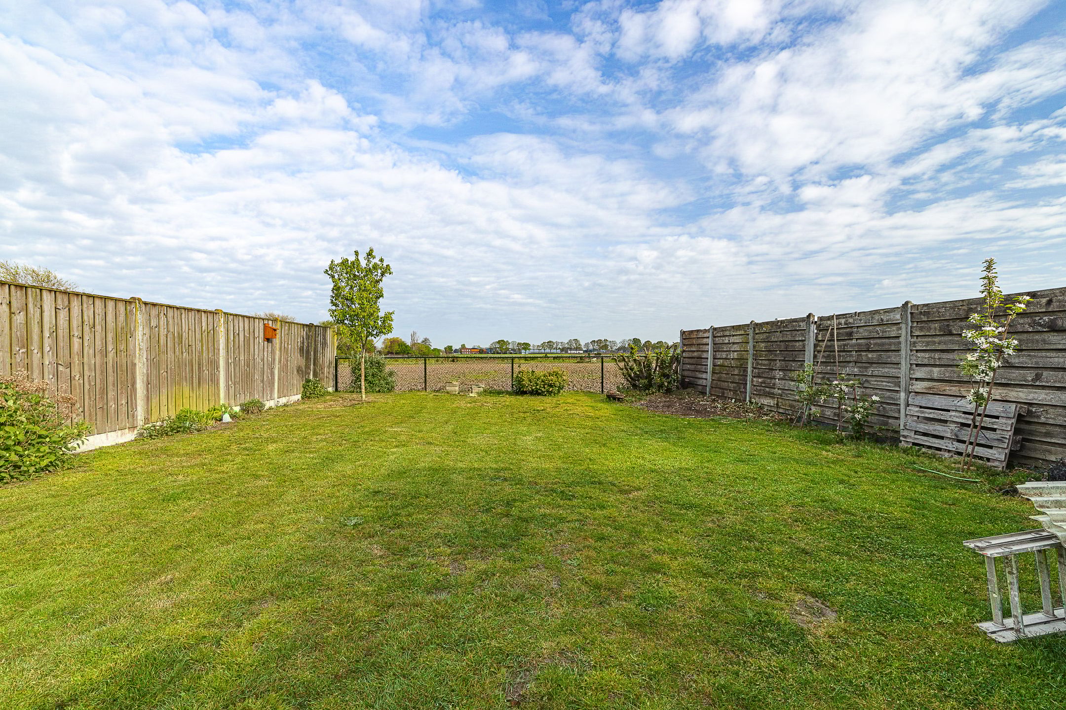 Foto 33 van Plantagebaan 182