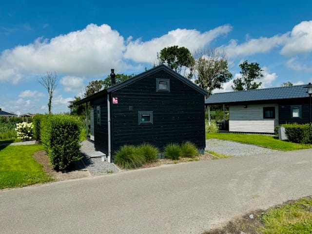 Foto 5 van Burgemeester Dalenbergstraat 50-847