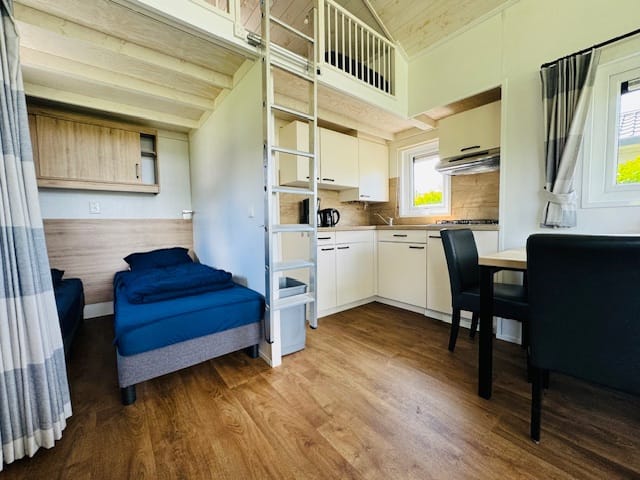 Foto 12 van Burgemeester Dalenbergstraat 50-847