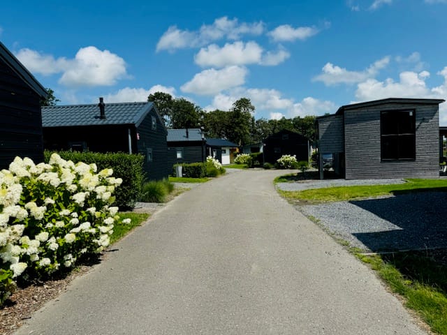 Foto 25 van Burgemeester Dalenbergstraat 50-847