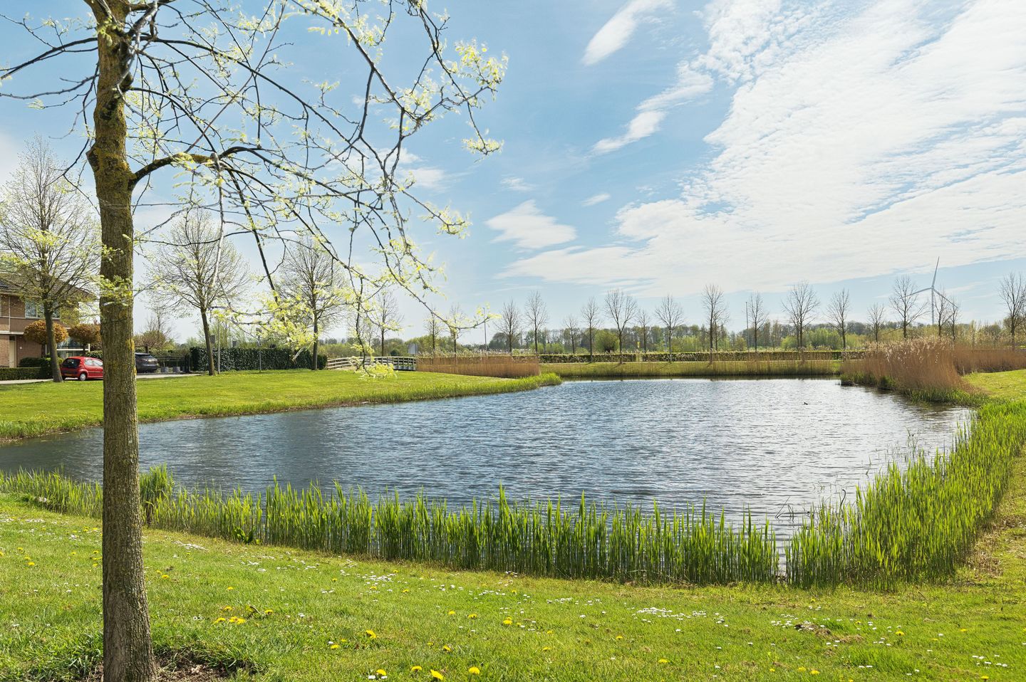 Foto 5 van Schutleede 9