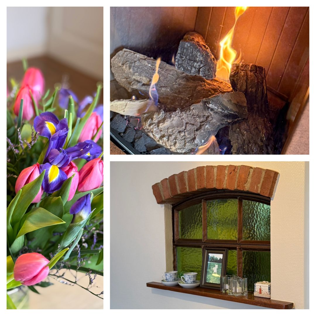 Foto 17 van Hofstad 26