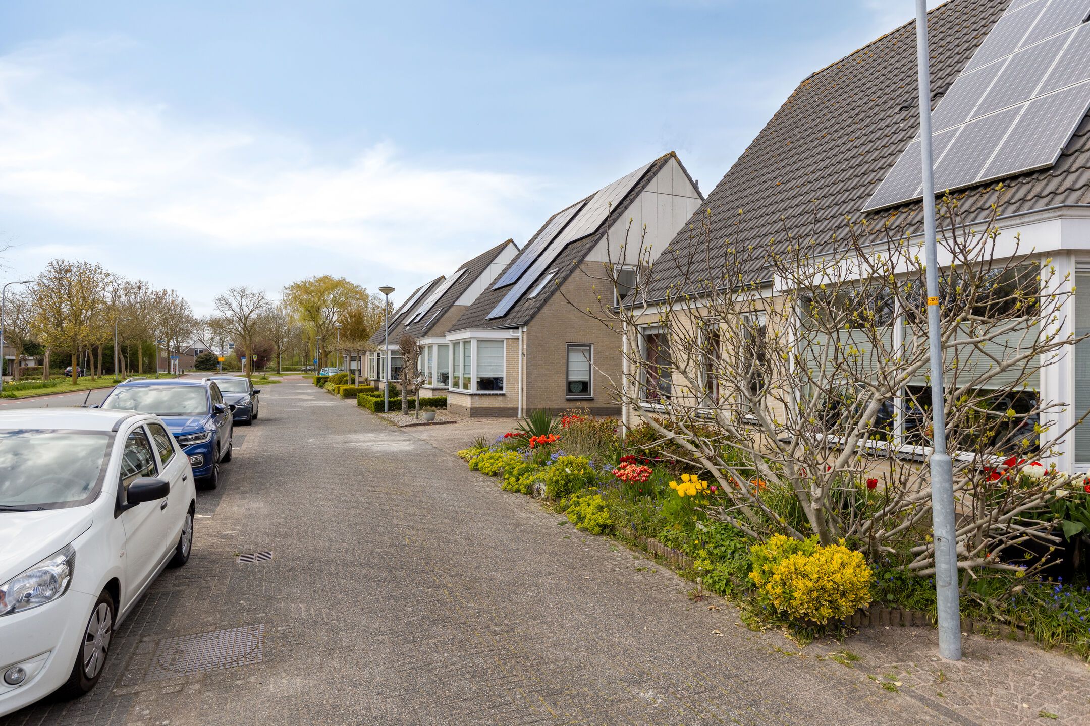 Foto 39 van De Bouw 19