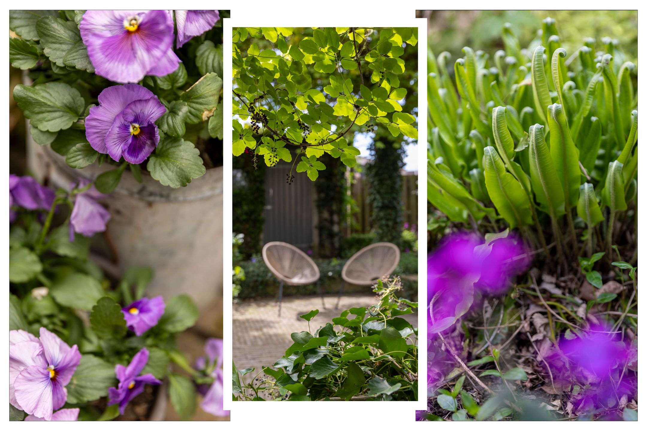 Foto 39 van Bruynisstraat 14