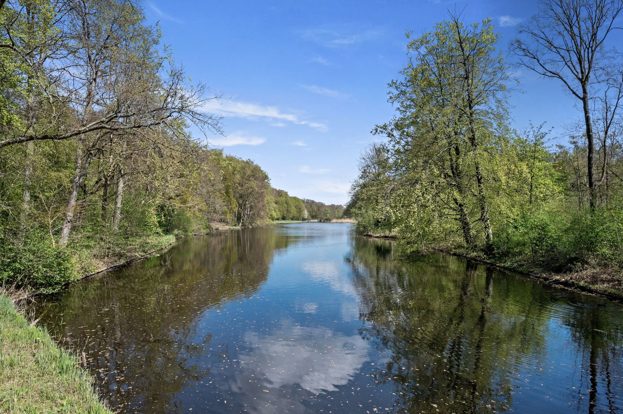 Foto 51 van Gerard Reijnststraat 12