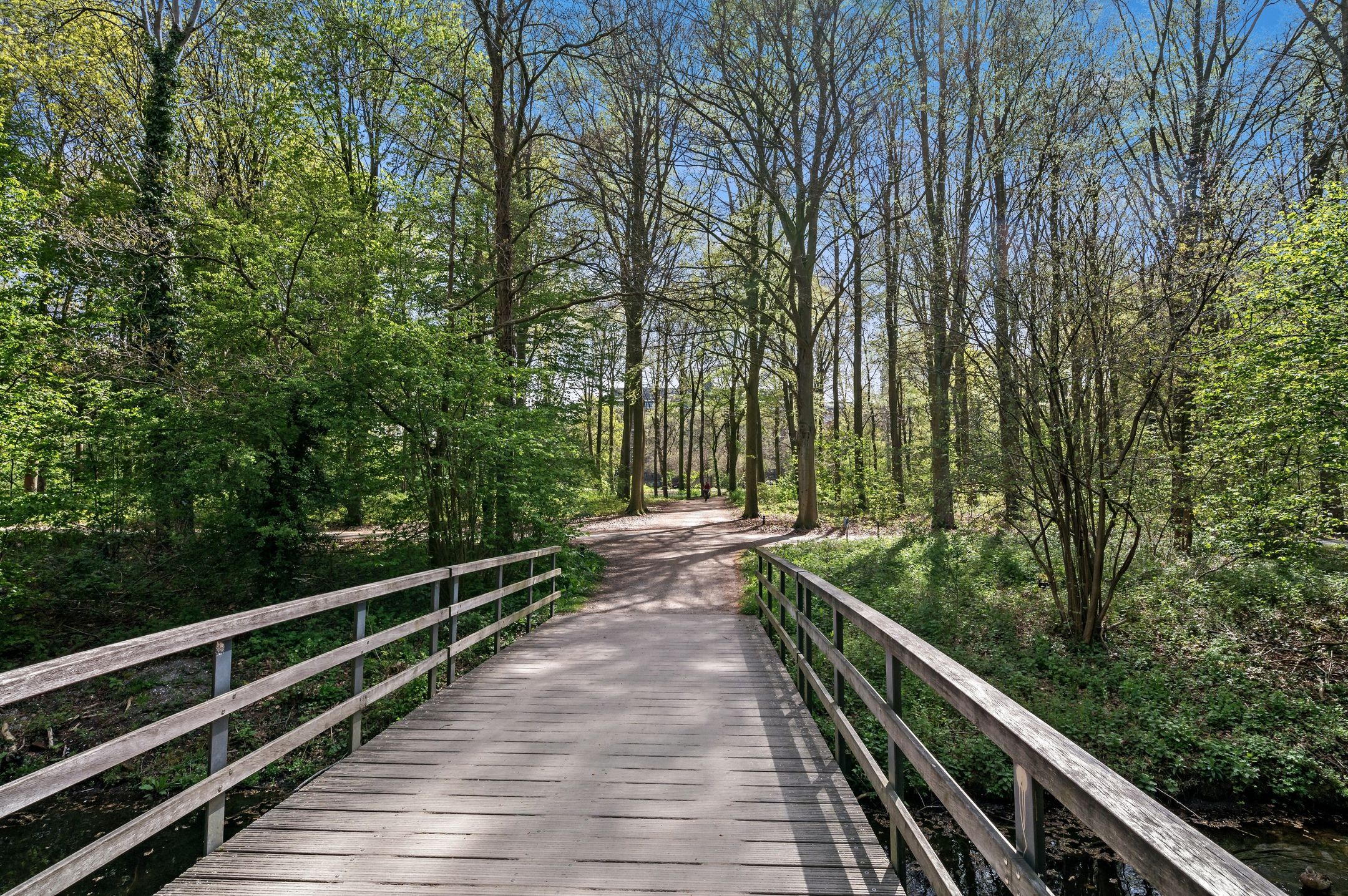 Foto 48 van Gerard Reijnststraat 12