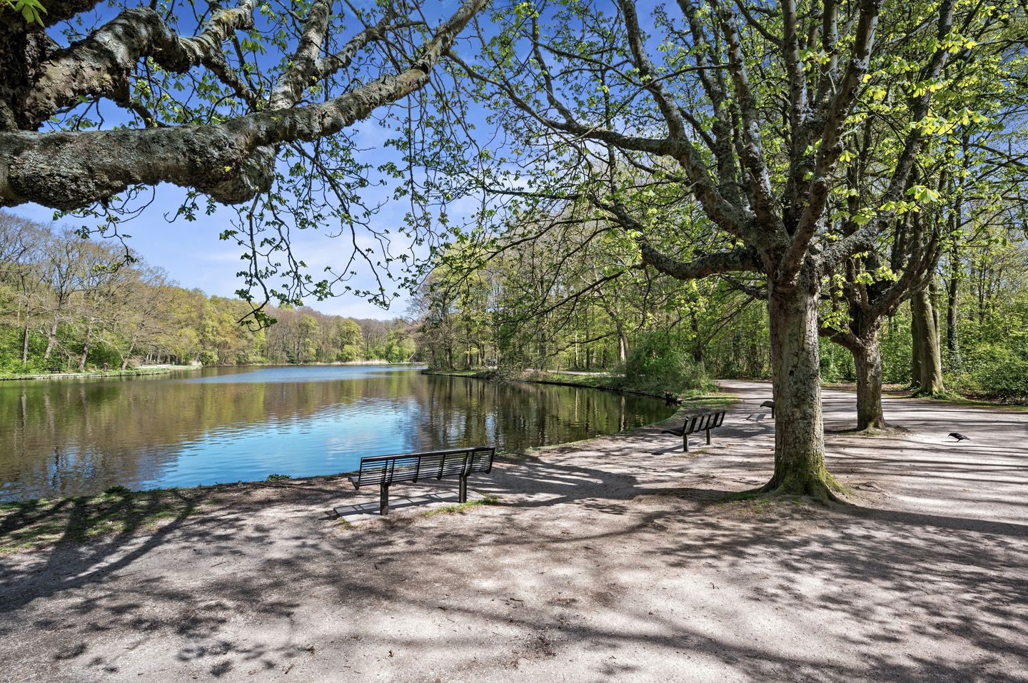 Foto 49 van Gerard Reijnststraat 12