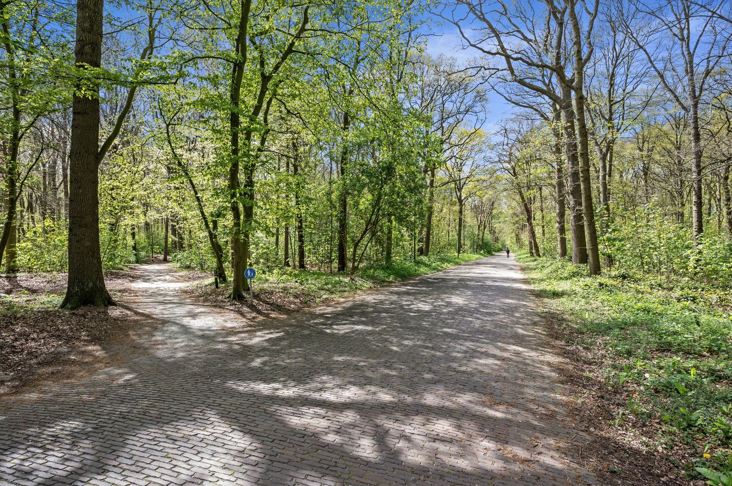 Foto 50 van Gerard Reijnststraat 12