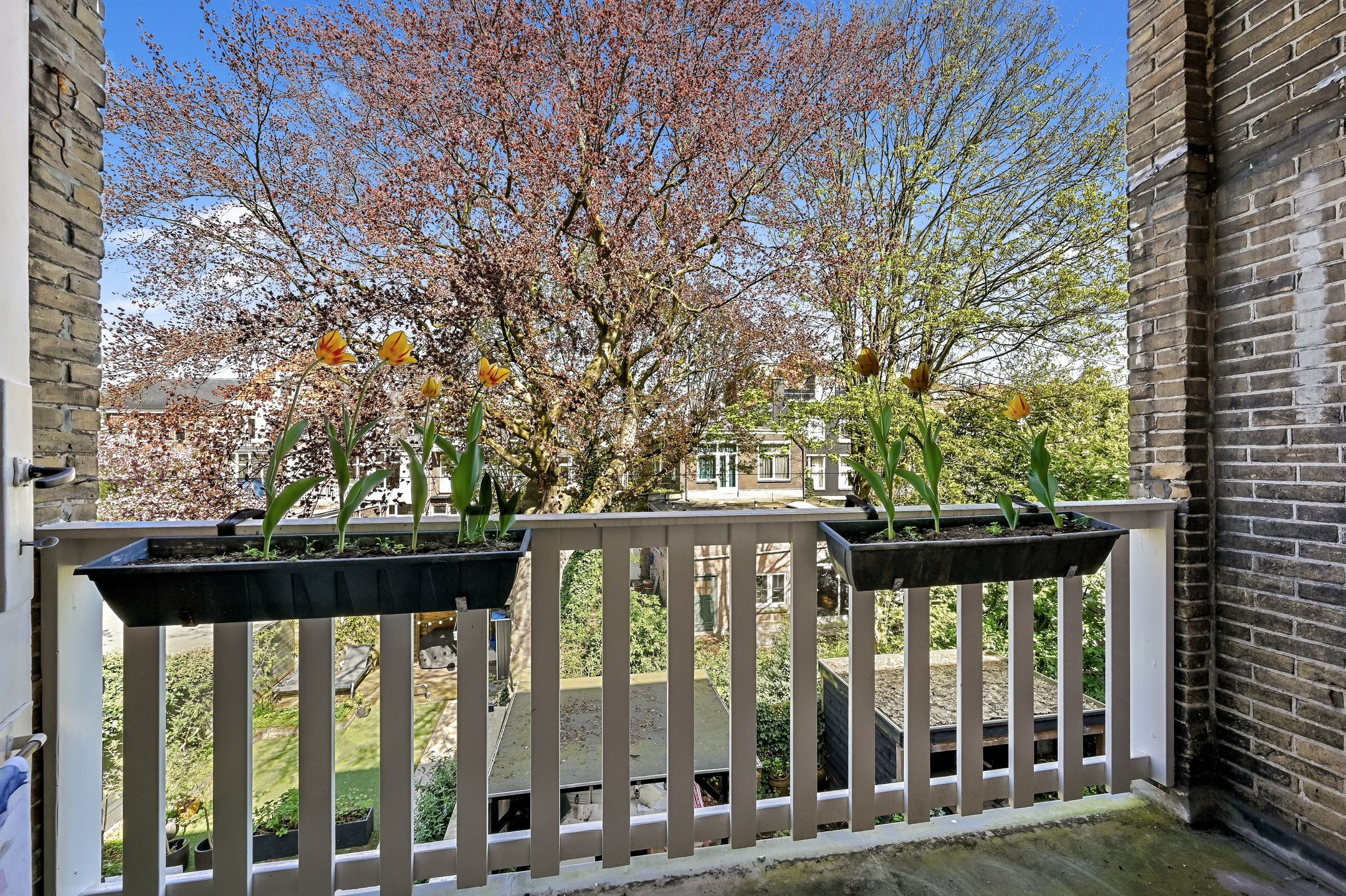 Foto 21 van Gerard Reijnststraat 12