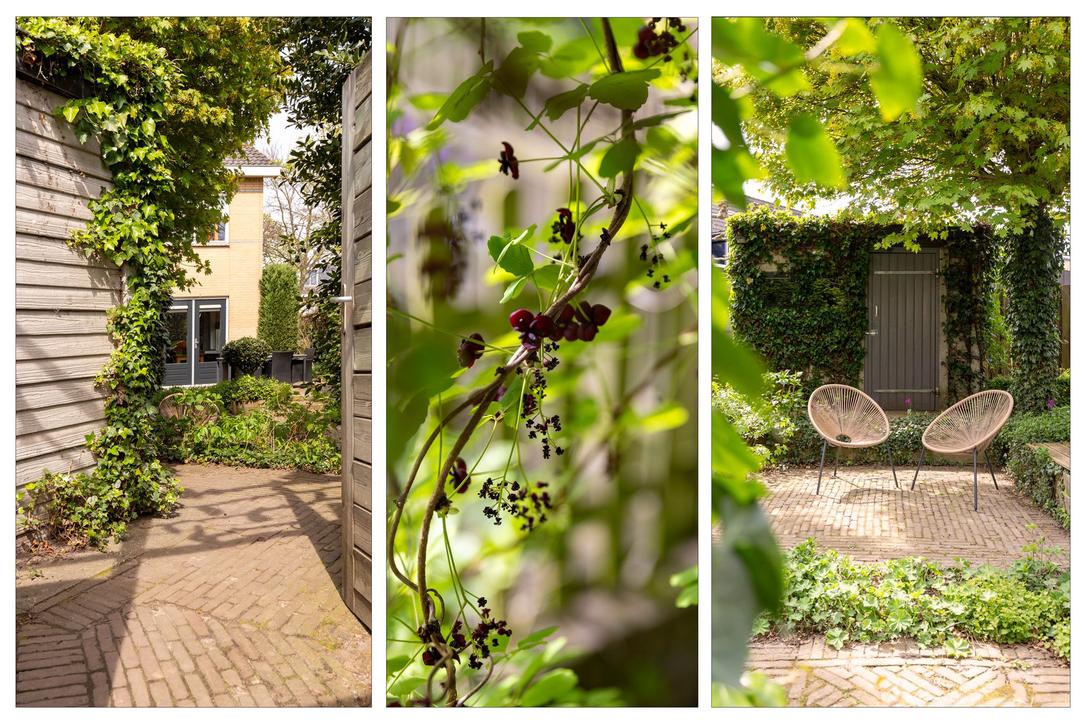 Foto 48 van Bruynisstraat 14