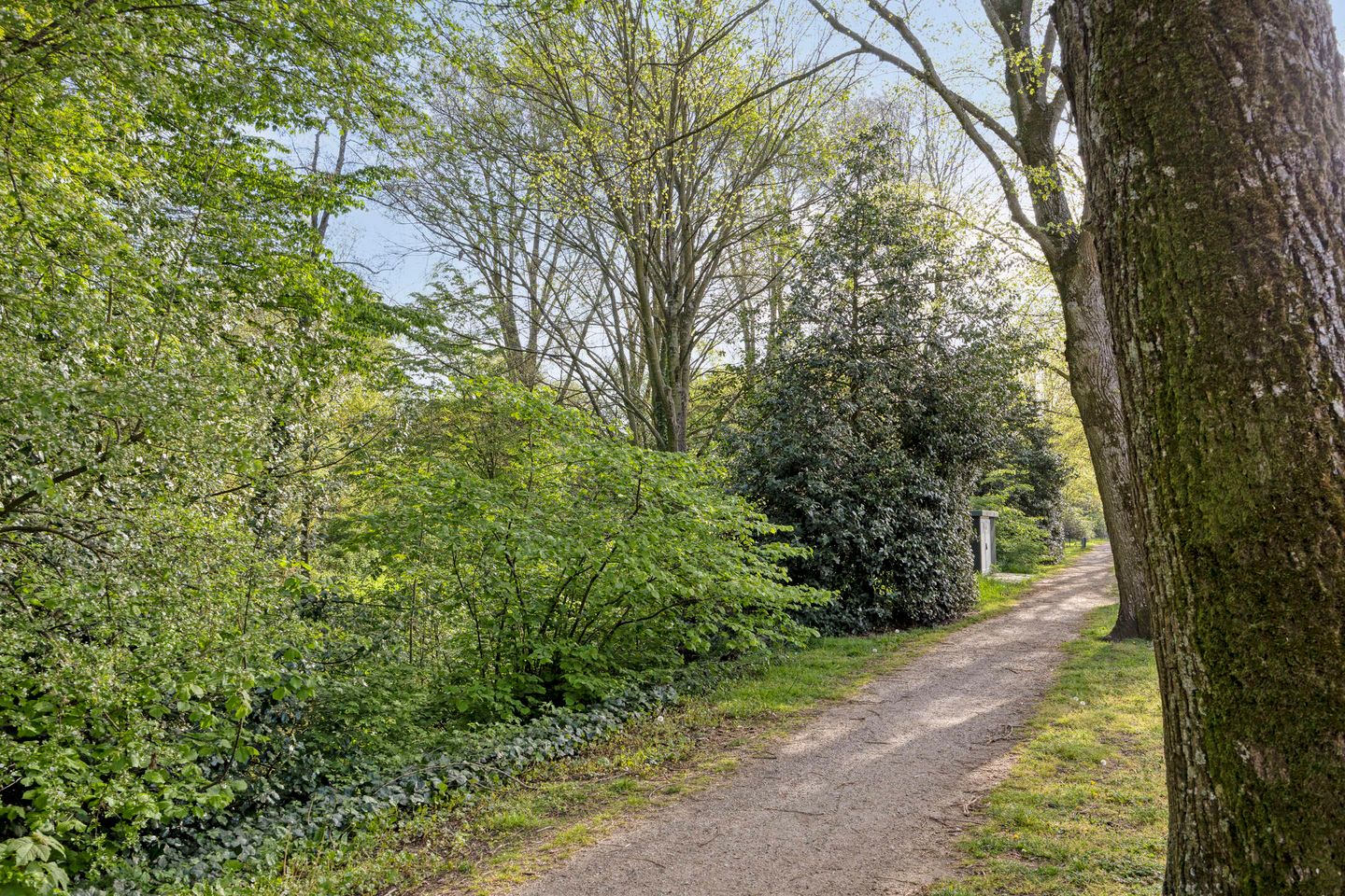 Foto 29 van Jacob van Ruysdaelstraat 35