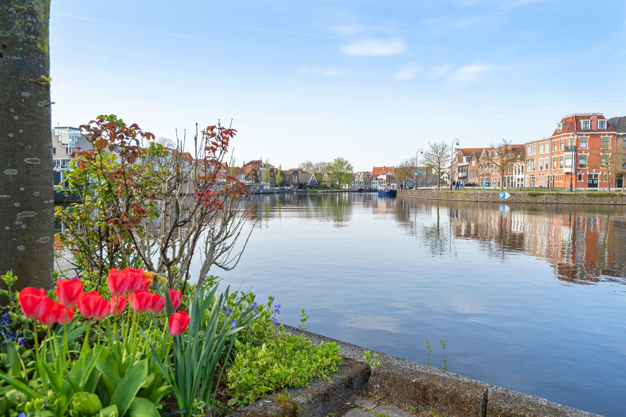 Foto 33 van Dijkstraat 9