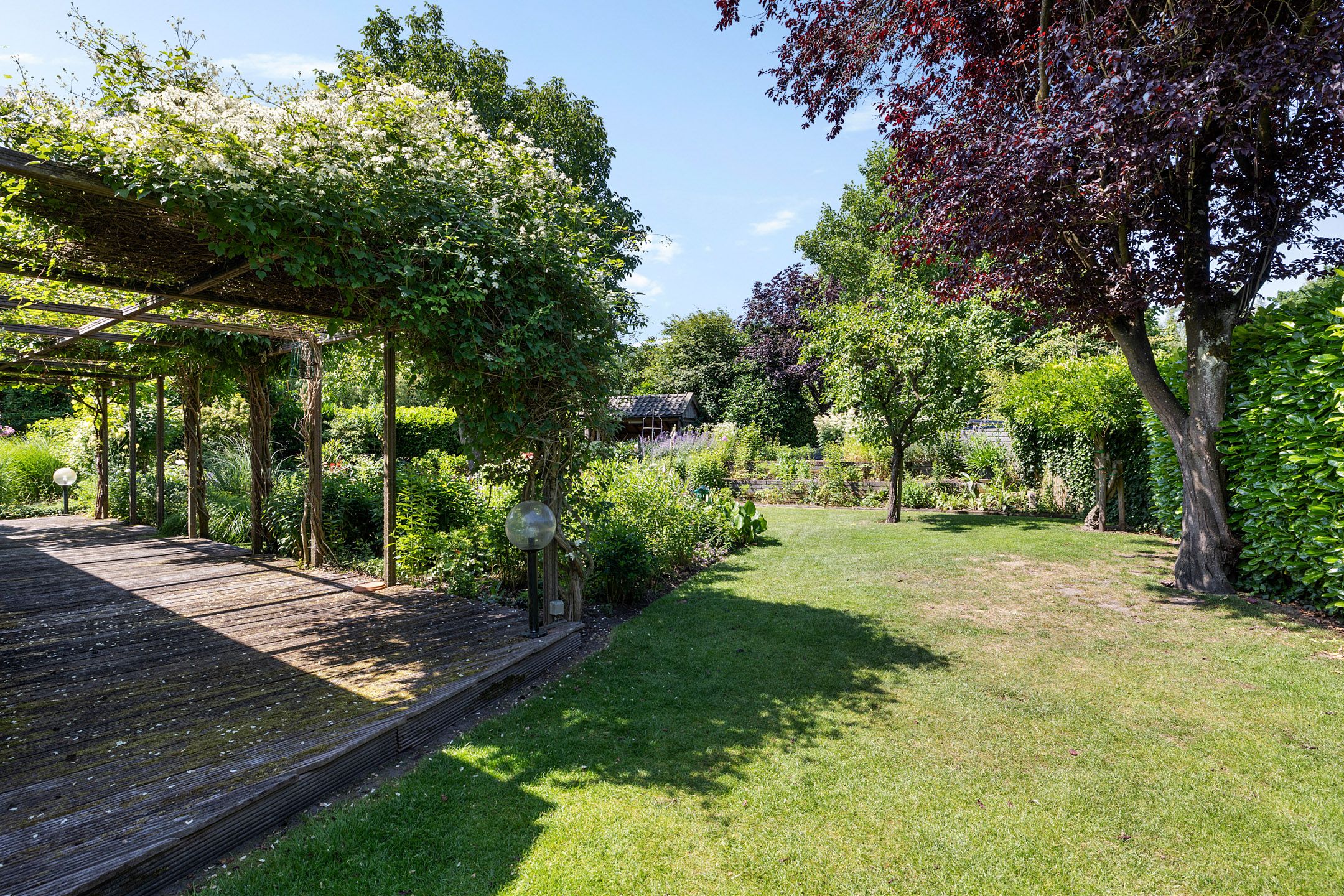 Foto 54 van Laan van het Kwekebos 356