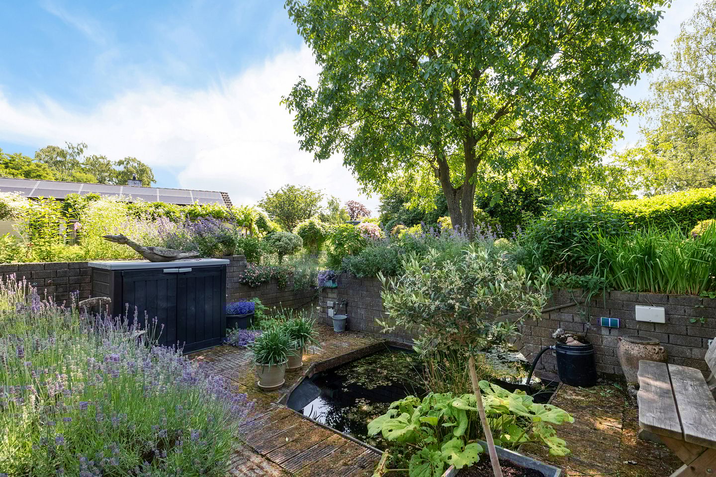 Foto 64 van Laan van het Kwekebos 356