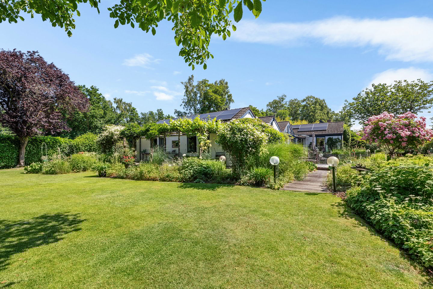 Foto 65 van Laan van het Kwekebos 356