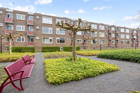 Madame Curiestraat thumbnail