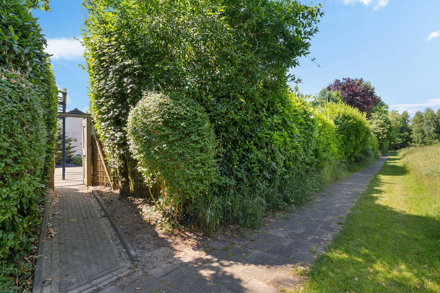 Foto 74 van Laan van het Kwekebos 356