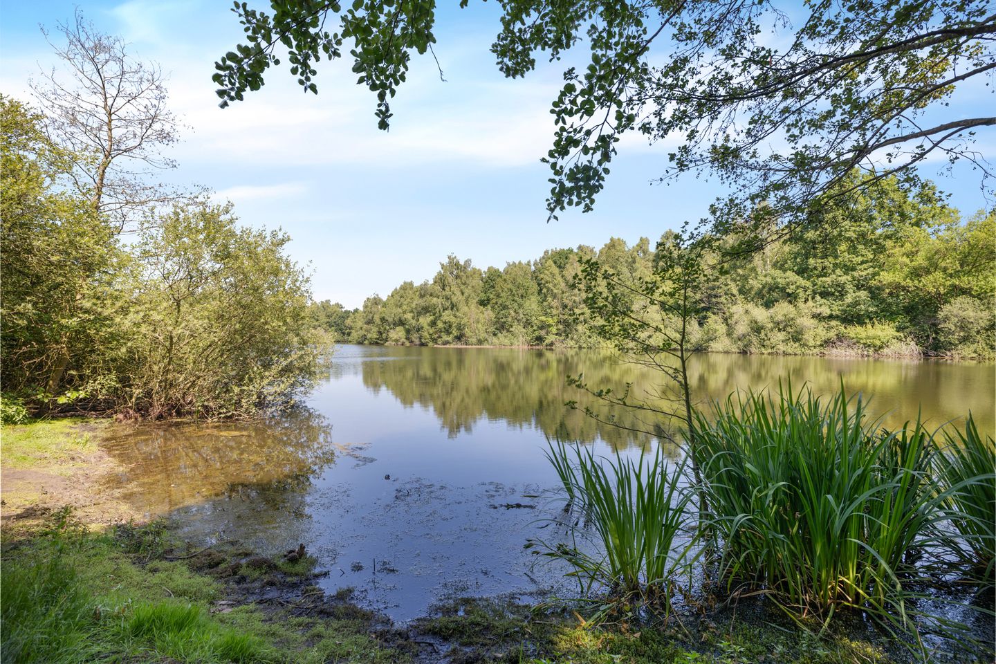 Foto 79 van Laan van het Kwekebos 356