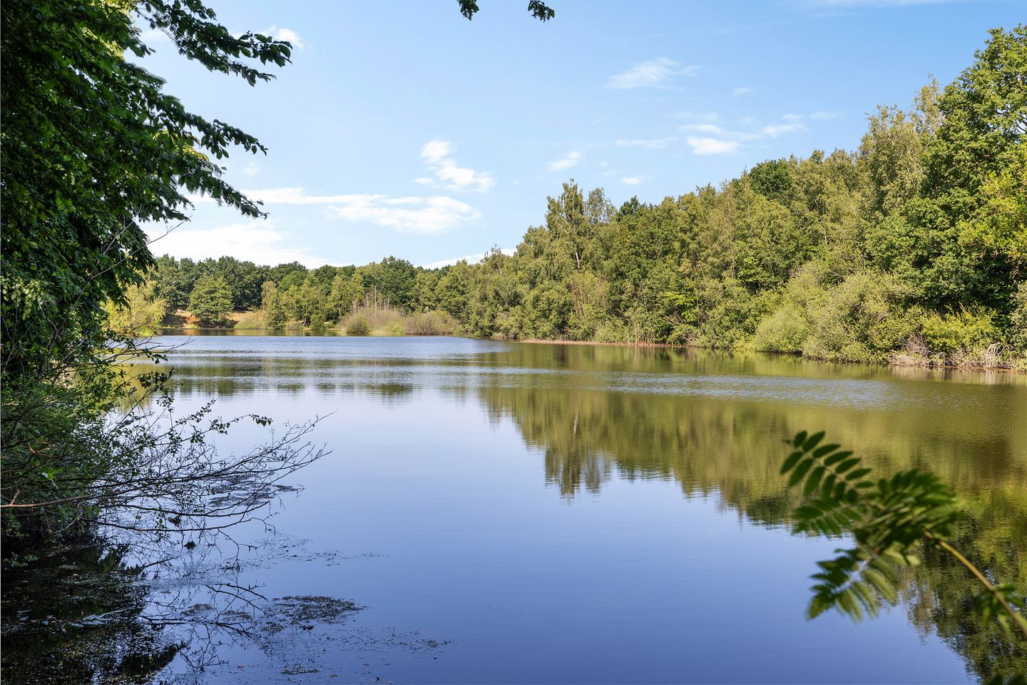 Foto 80 van Laan van het Kwekebos 356