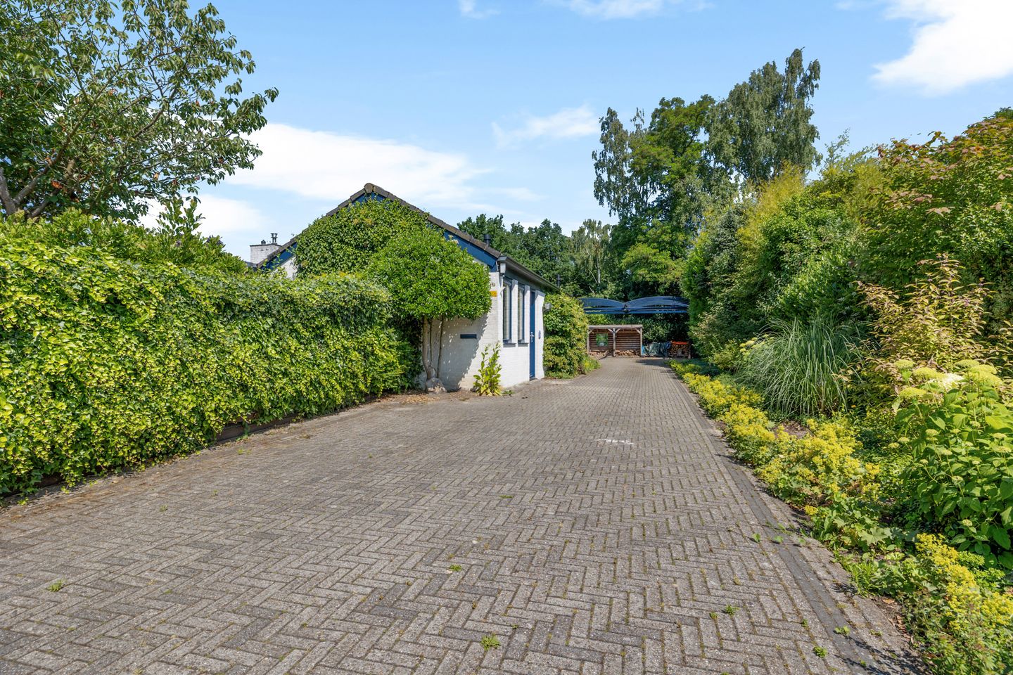 Foto 10 van Laan van het Kwekebos 356