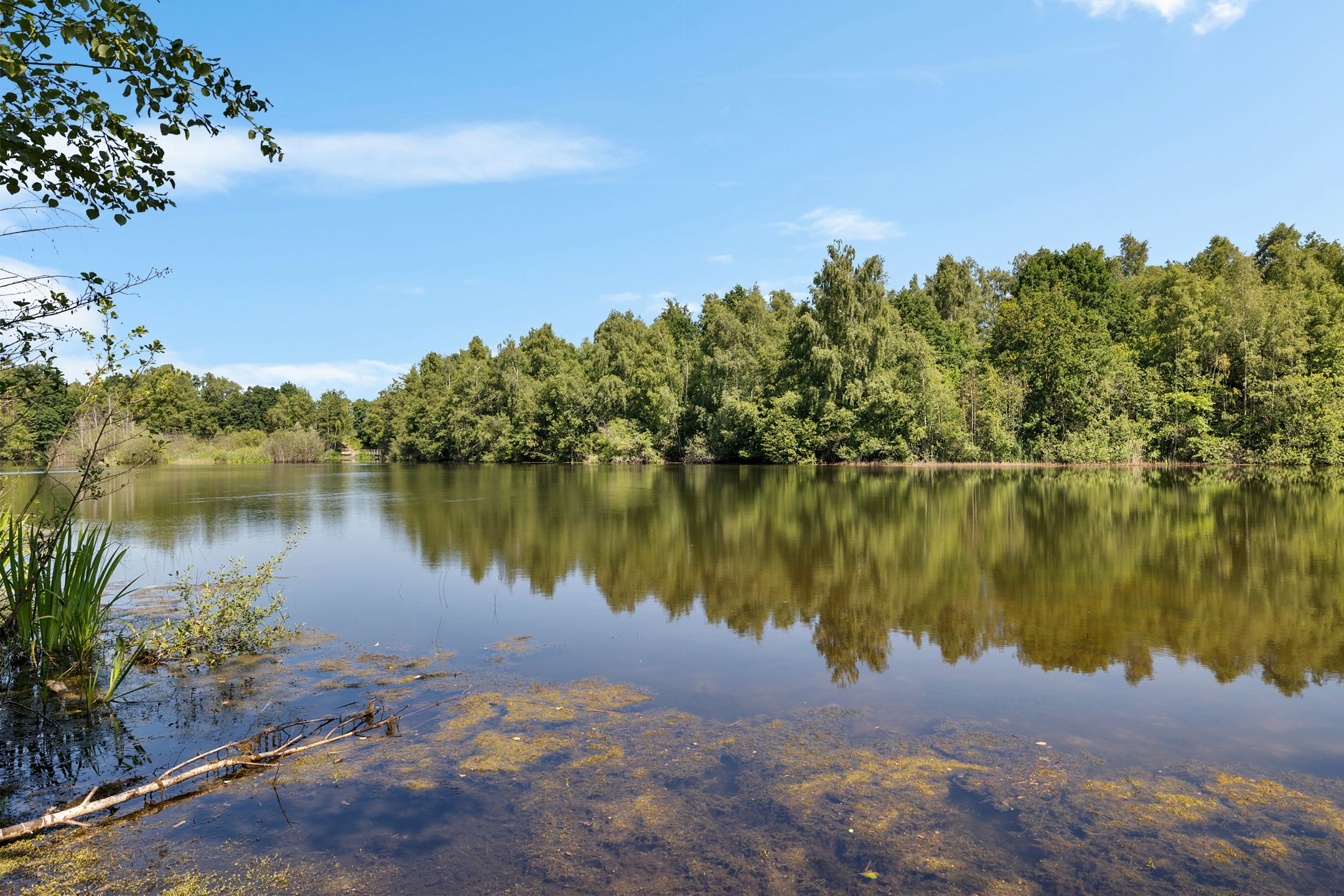 Foto 78 van Laan van het Kwekebos 356