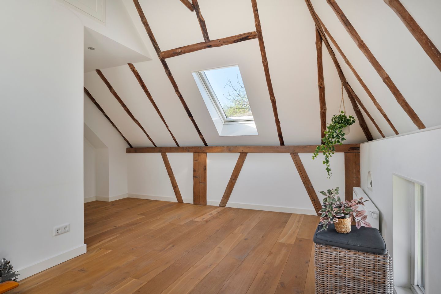 Foto 49 van Zuiderzeestraatweg 386