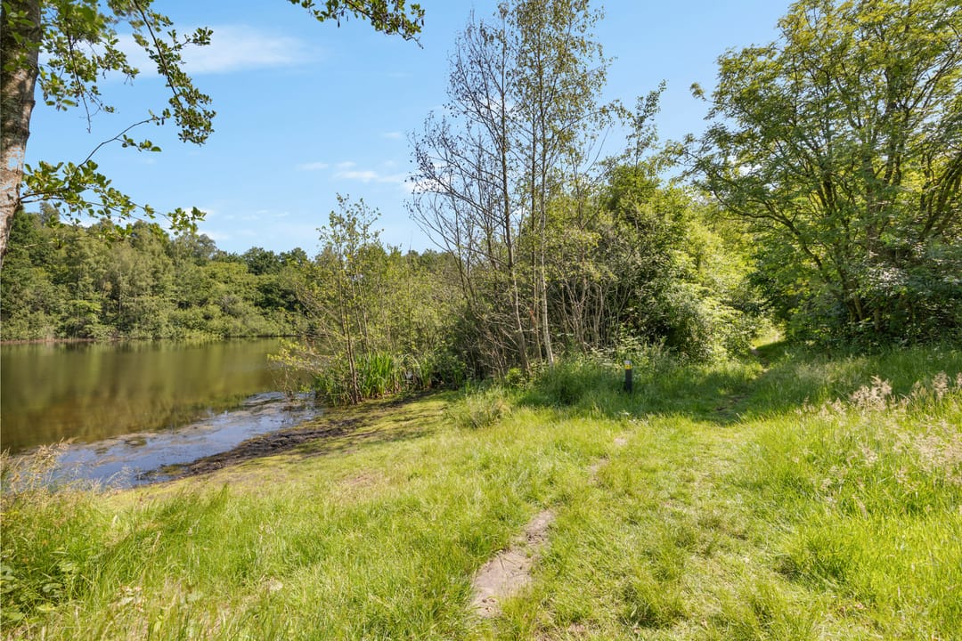 Foto 76 van Laan van het Kwekebos 356