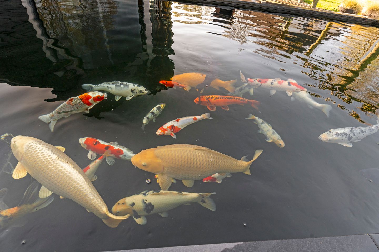 Foto 64 van Zuiderzeestraatweg 386