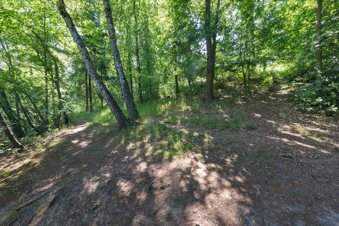 Foto 77 van Laan van het Kwekebos 356