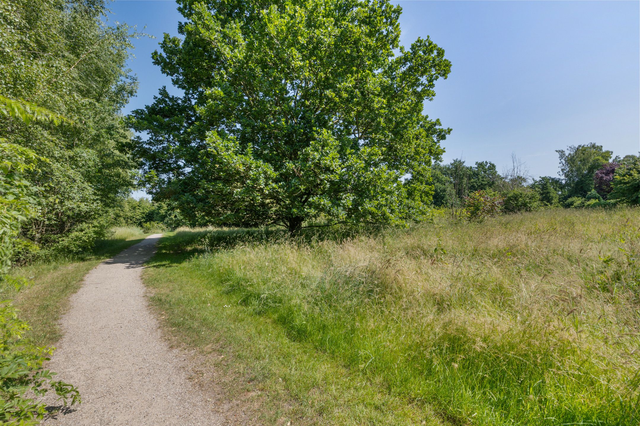 Foto 75 van Laan van het Kwekebos 356