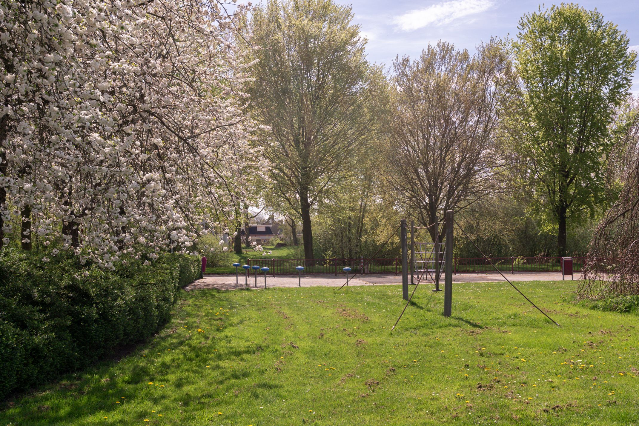 Foto 36 van Meindert Hobbemahage 19