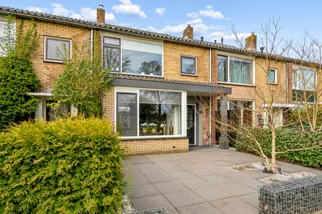 Sophialaan thumbnail