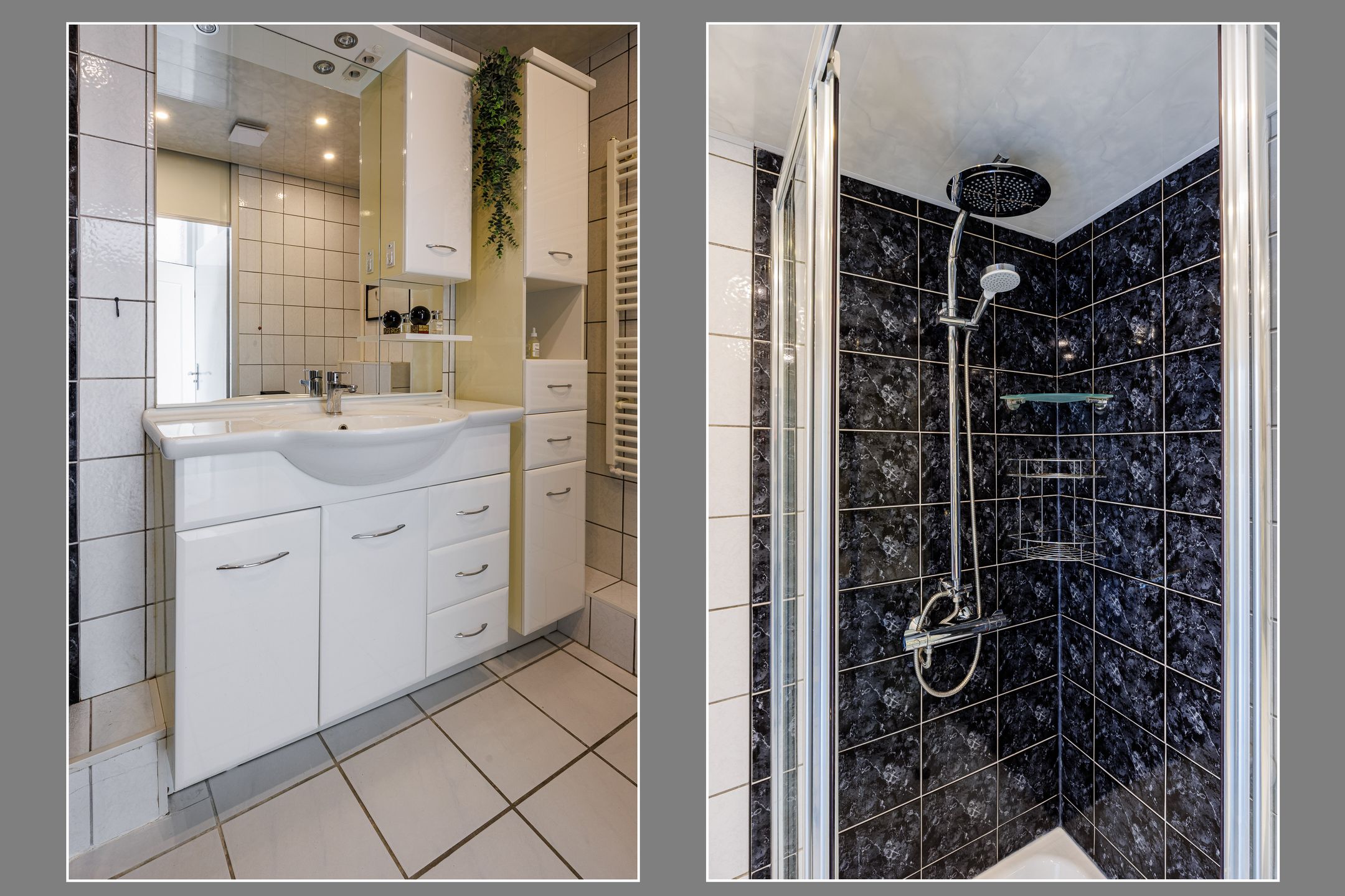 Foto 36 van Zwanenveld 2716