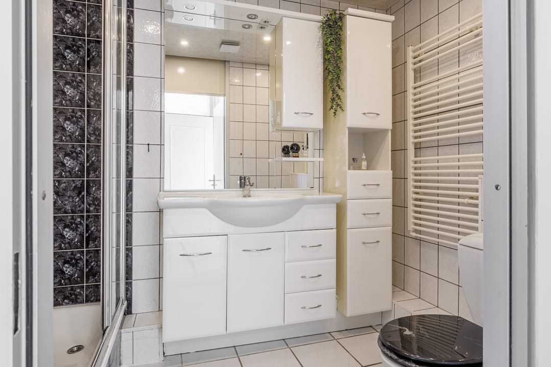 Foto 37 van Zwanenveld 2716